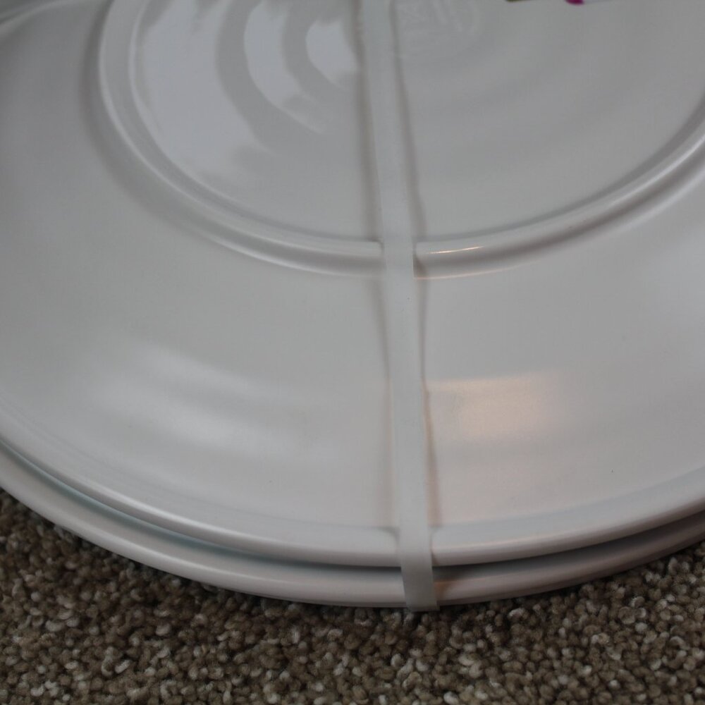 Wind & Water Coastal Dinner Plates Seahorse Coral Set of 4 Melamine 11" Blue NWT - Picture 8 of 8